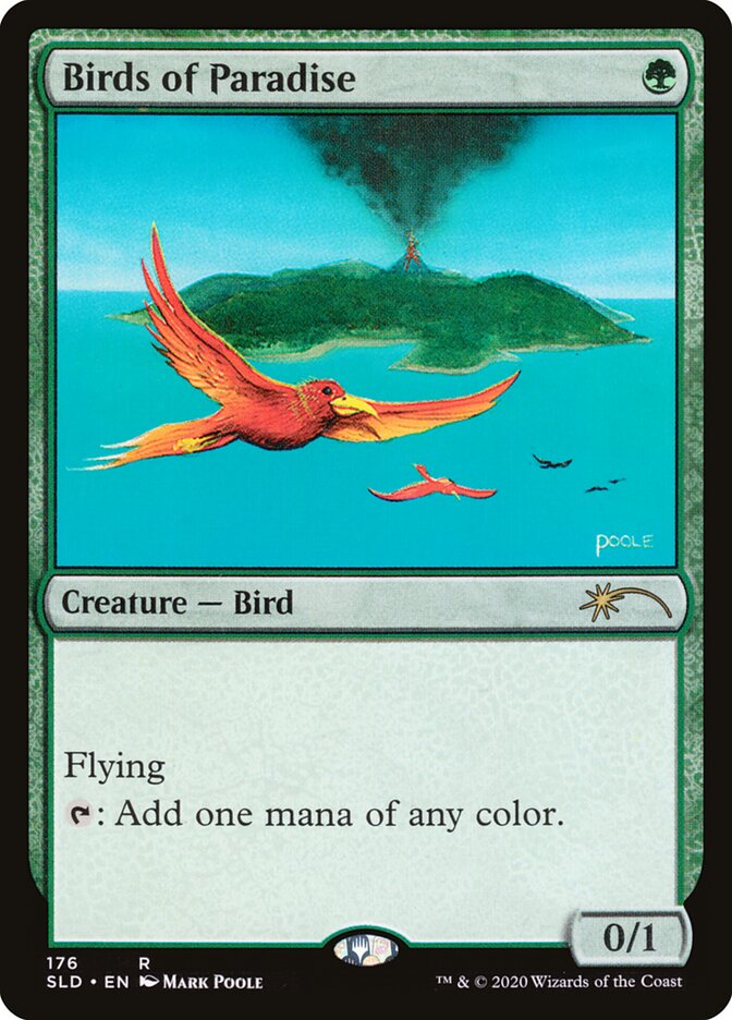 Birds of Paradise (176)
