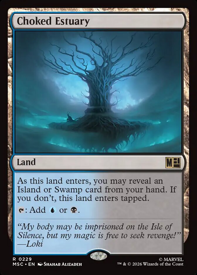 Choked Estuary (Surge Foil)