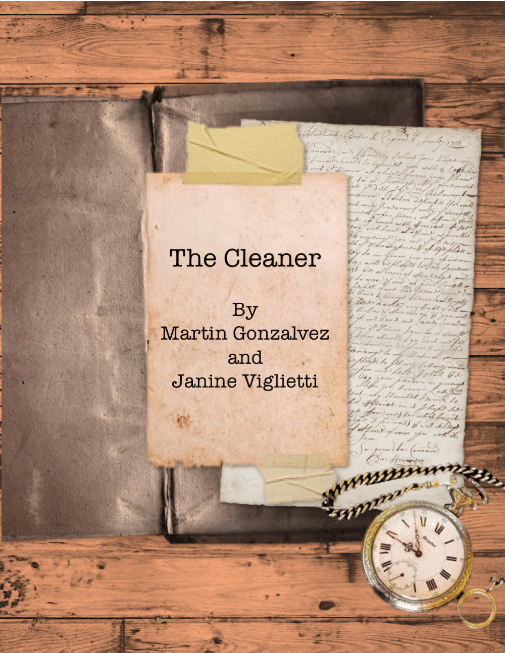 The Cleaner