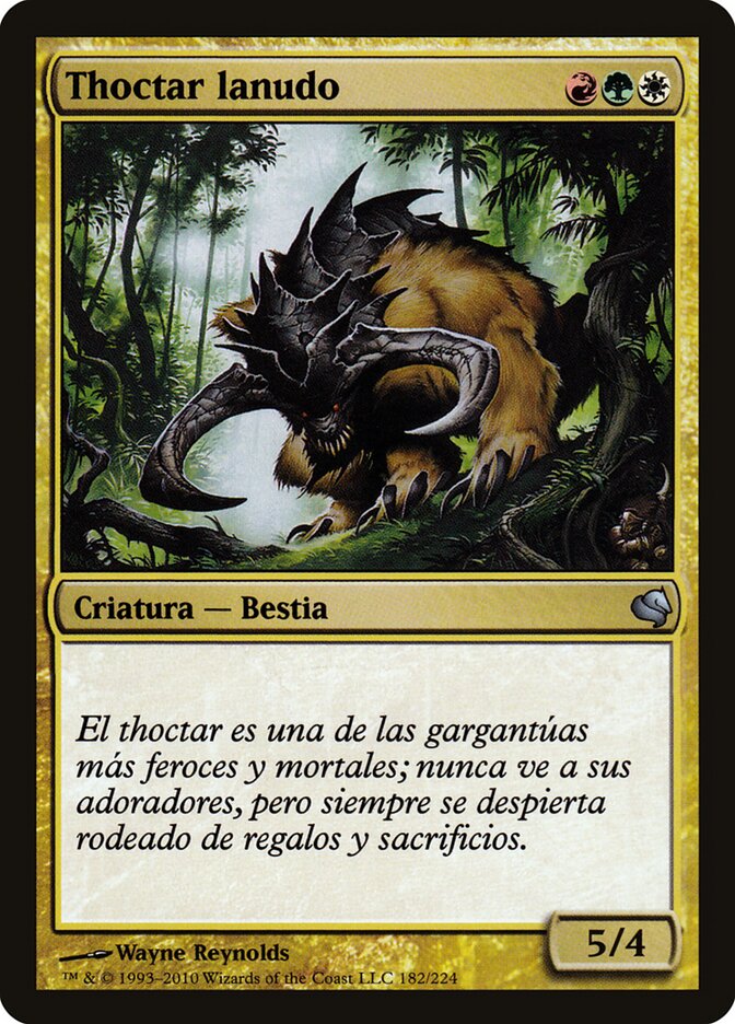 Woolly Thoctar (Spanish) - "Thoctar lanudo"
