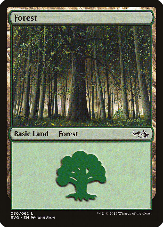 Forest (030) (EVG)