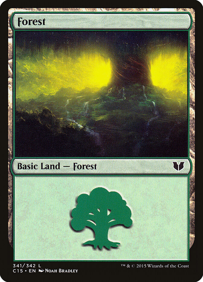 Forest (341)