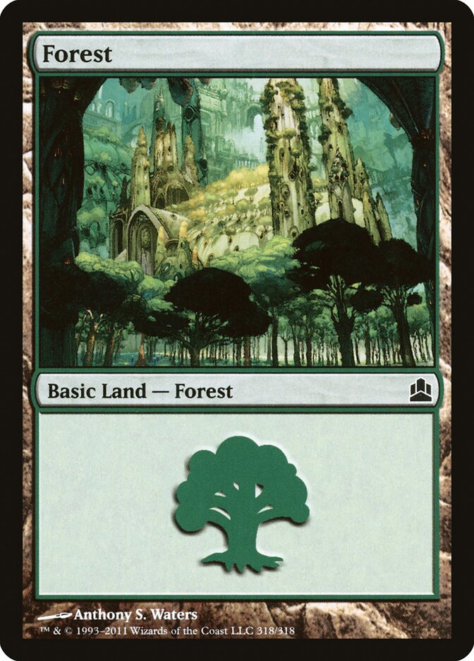 Forest (318)