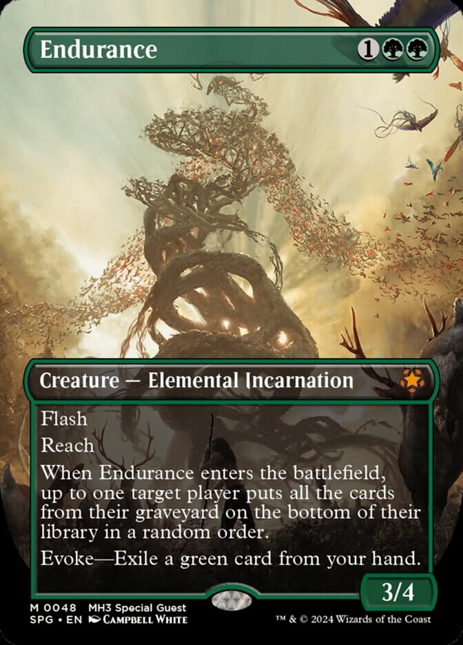 Endurance (Borderless)