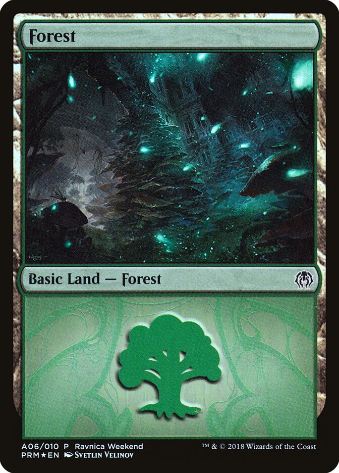 Forest - Golgari (A06)