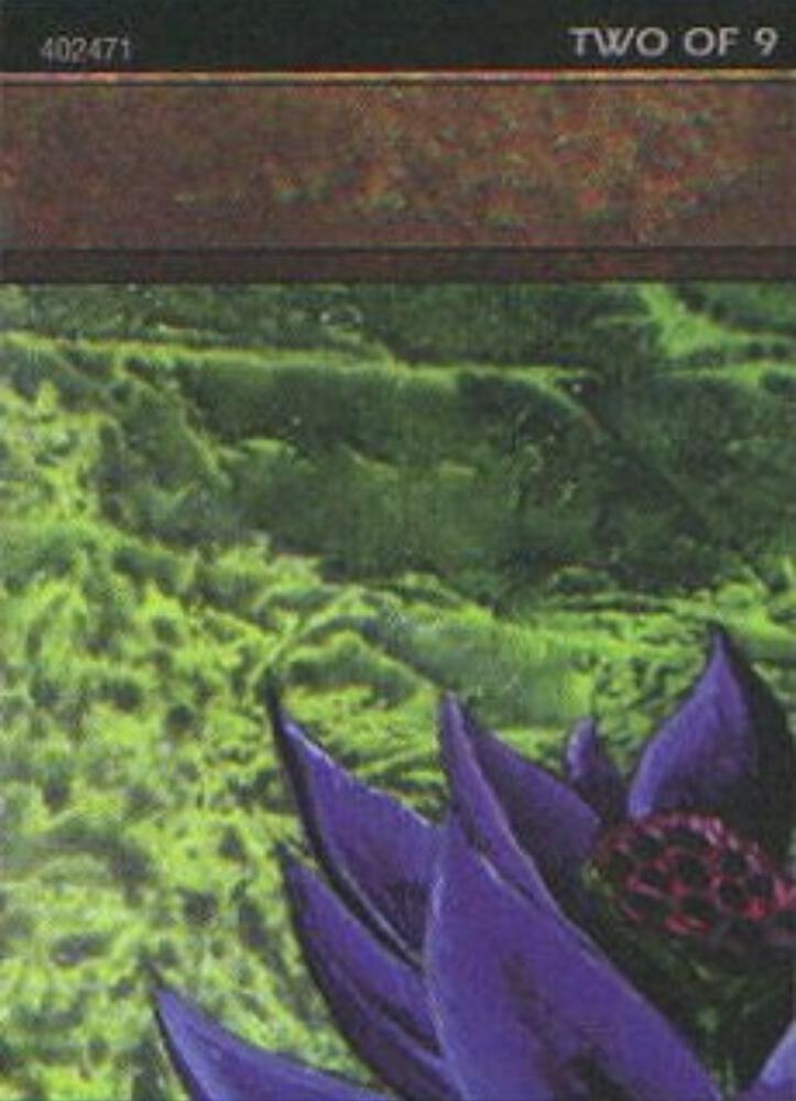 Black Lotus (2 of 9) (Ultra Pro Puzzle Quest)