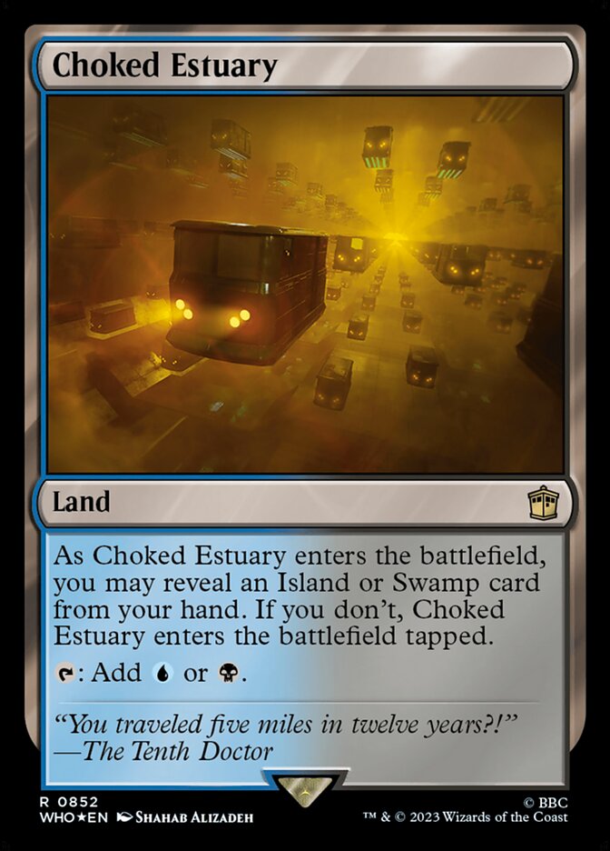Choked Estuary (Surge Foil)