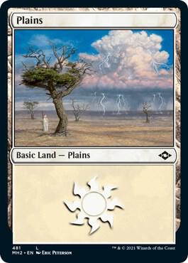 Plains (481) (Foil Etched)