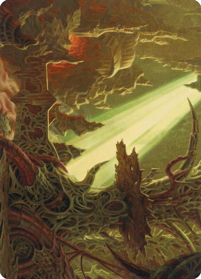 Darkmoss Bridge Art Card