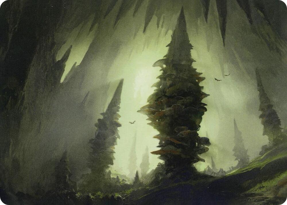 Forest (55/81) Art Card