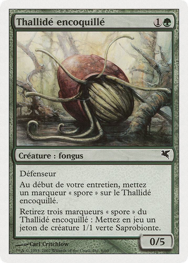 Thallid Shell-Dweller (French) - "Thallidé encoquillé" (J6)