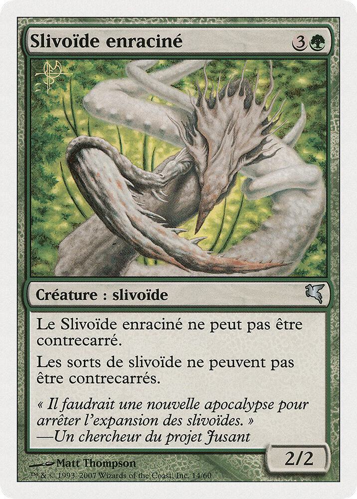 Root Sliver (French) - "Slivoïde enraciné"