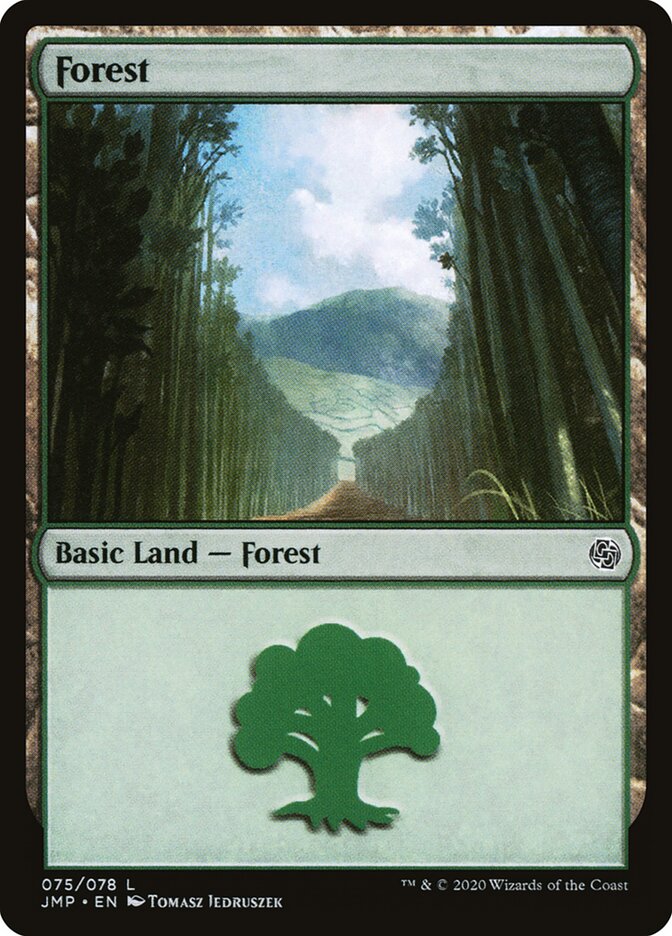 Forest (075)