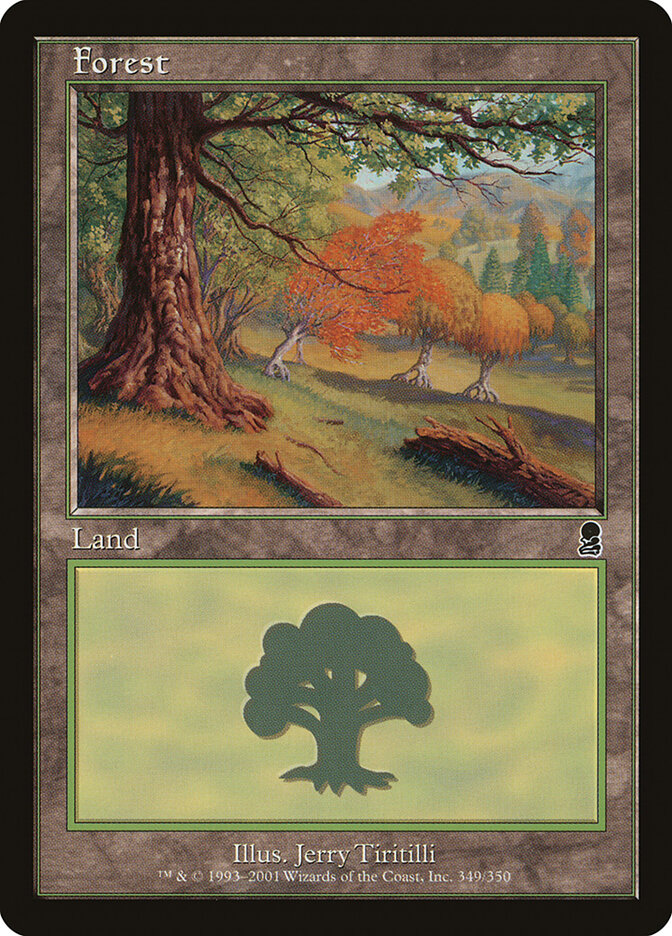 Forest (349)