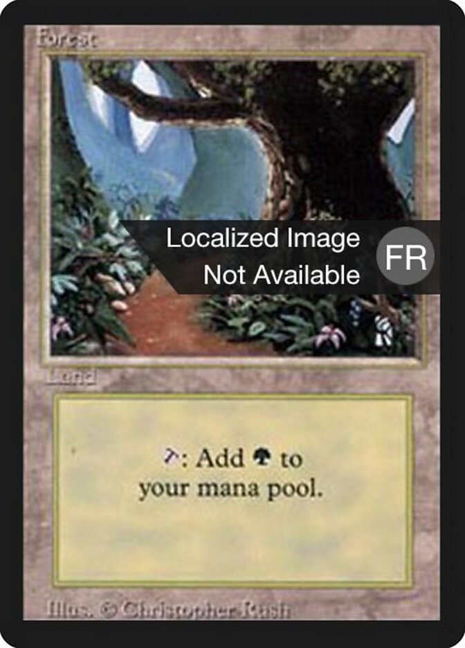 Forest (B)