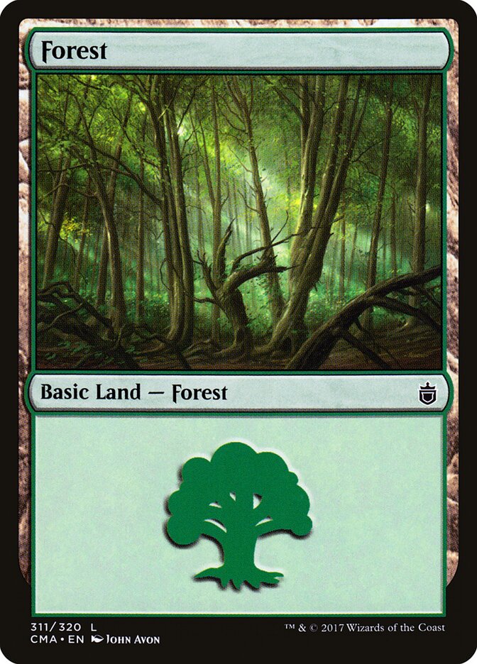 Forest (311)