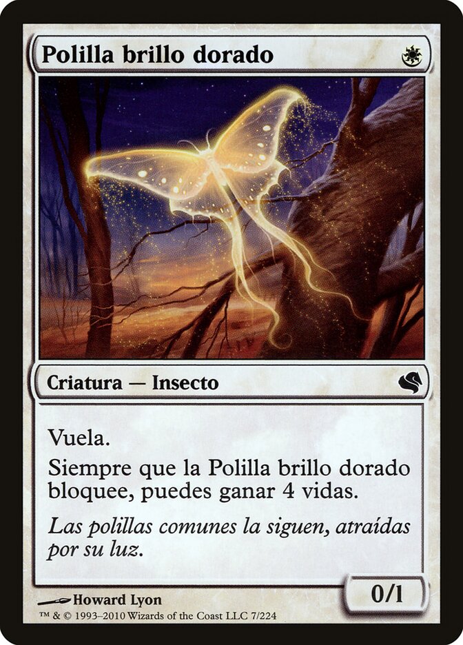 Goldenglow Moth (Spanish) - "Polilla brillo dorado"