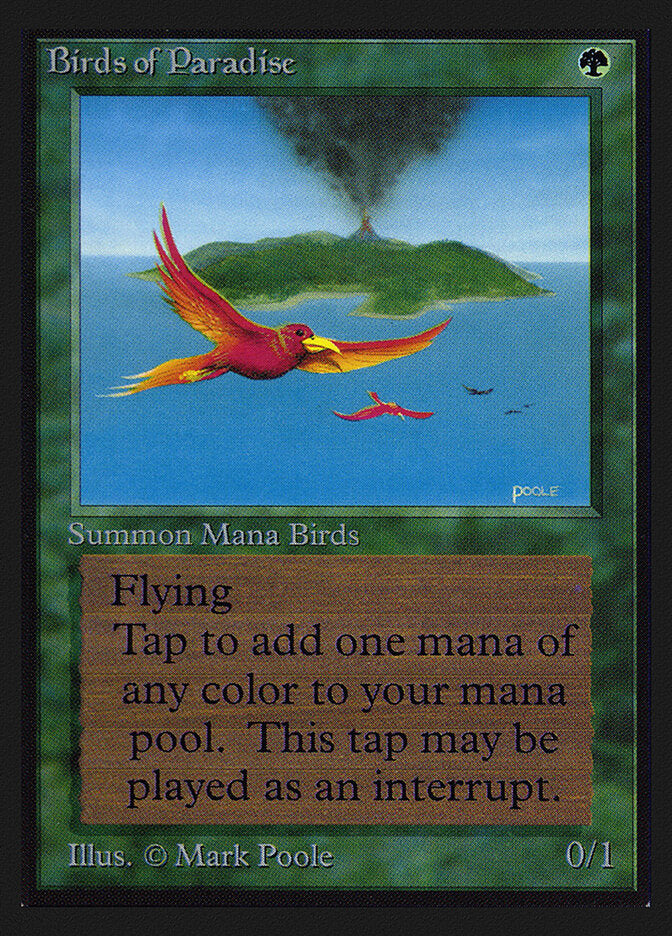 Birds of Paradise (IE)