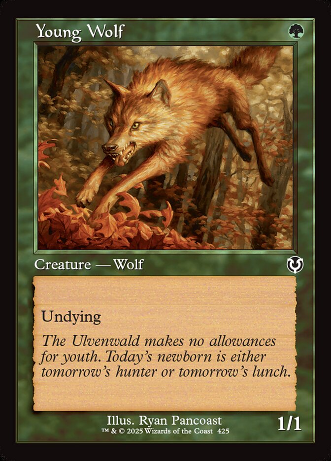 Young Wolf (Retro Frame)