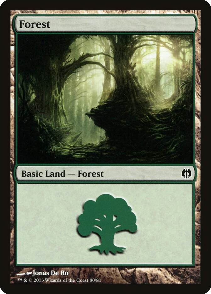 Forest (80)