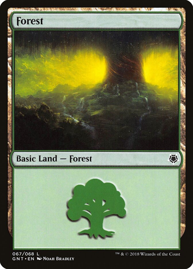 Forest (067)
