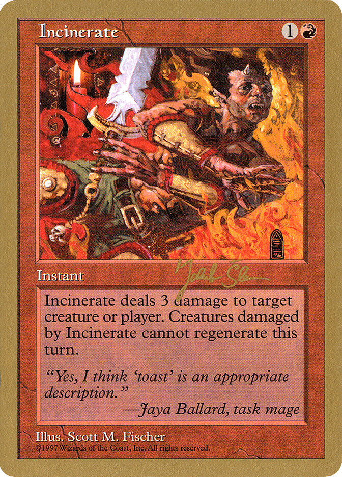 Incinerate - 1997 Jakub Slemr (5ED)