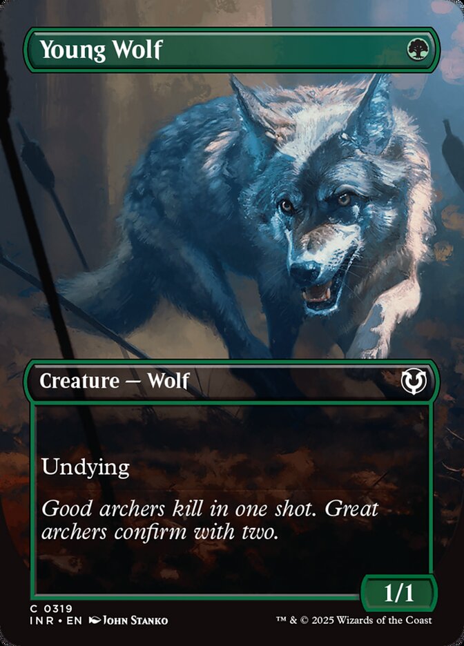 Young Wolf (Borderless)