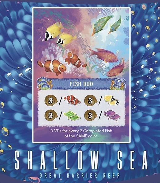 Shallow Sea: Fish Duo Ecosystem Card