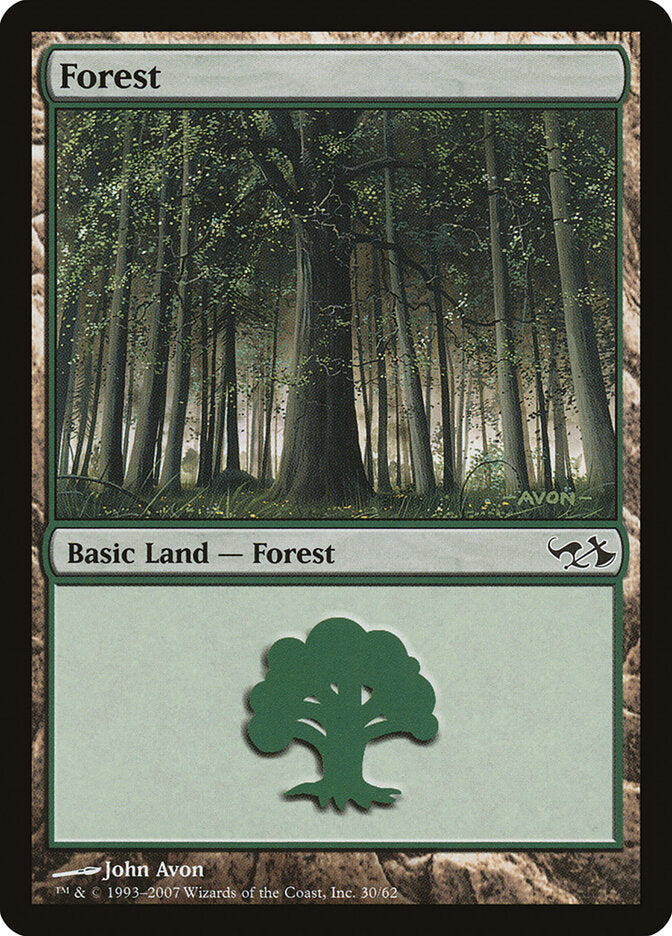 Forest (30)