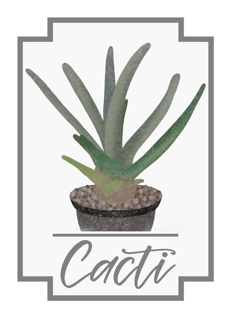 Cacti