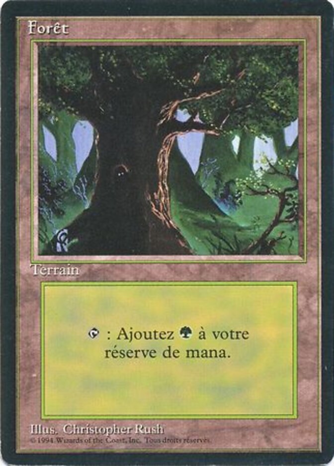 Forest (C)