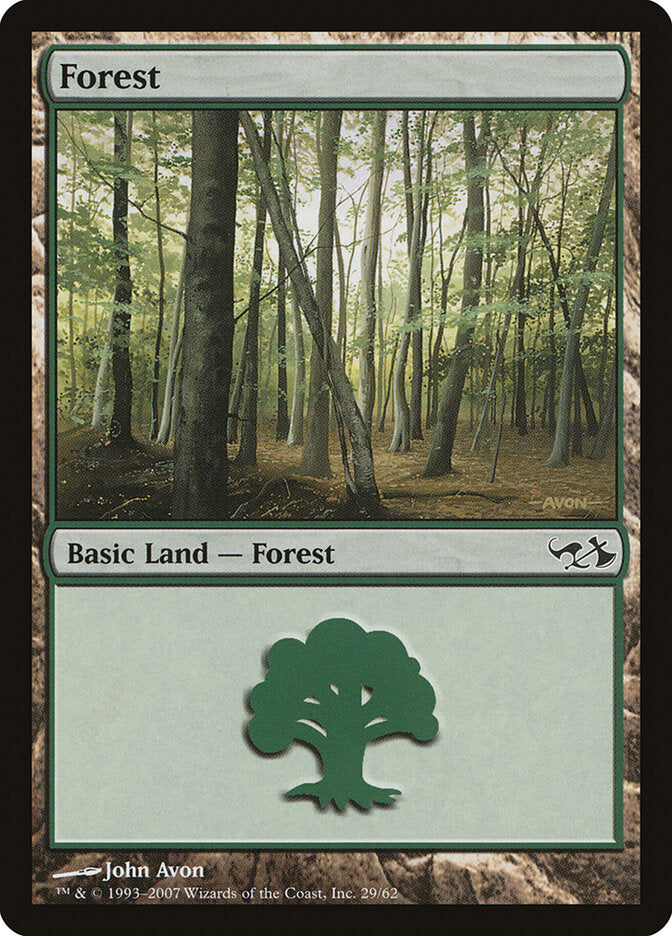 Forest (29)