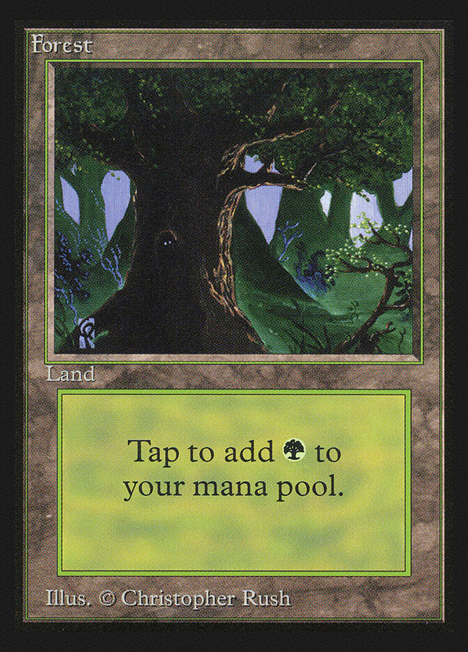 Forest (C) (IE)