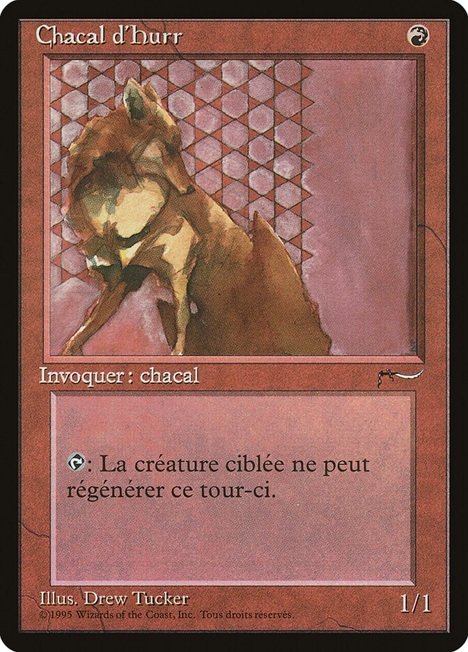 Hurr Jackal (French) - "Chacal d'Hurr"