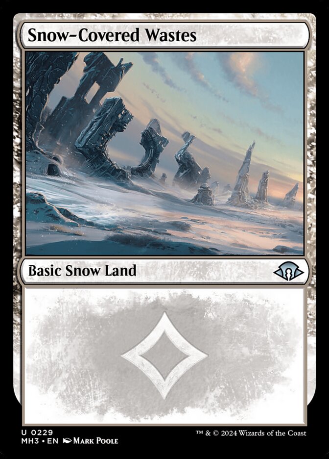 Snow-Covered Wastes (0229)