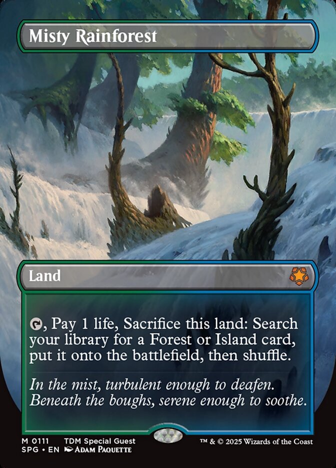 Misty Rainforest (Borderless)