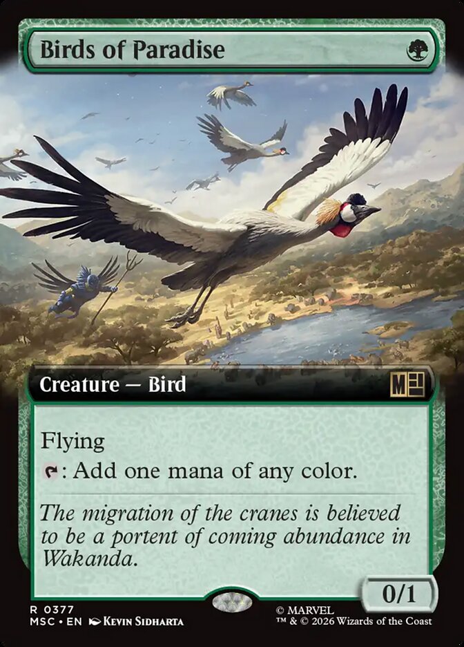 Birds of Paradise (Extended Art)