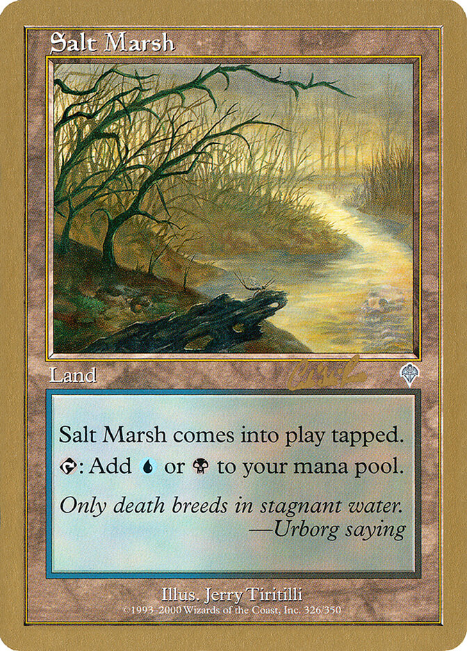 Salt Marsh - 2002 Carlos Romao (INV)