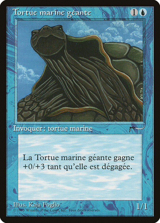 Giant Tortoise (French) - "Tortue marine geante"