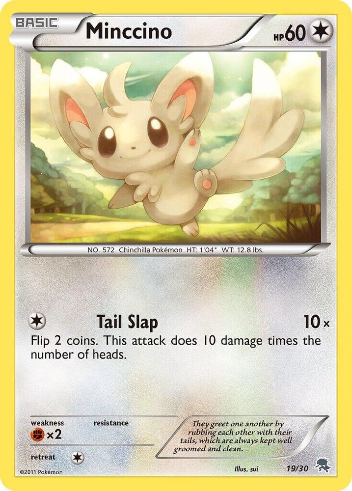 Minccino (#19)