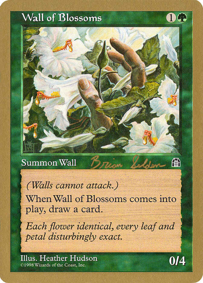 Wall of Blossoms - 1998 Brian Selden (STH)