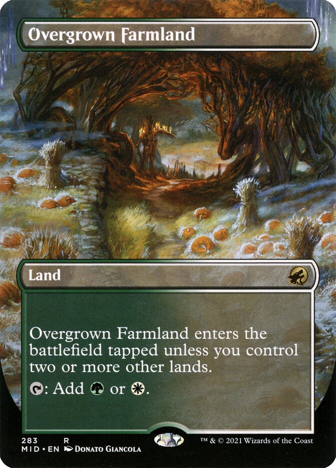 Overgrown Farmland (Borderless)