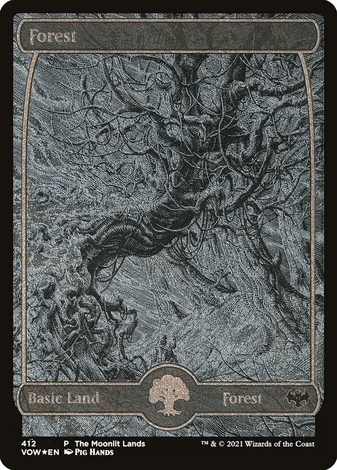 Forest (Moonlit Land) (Foil Etched)