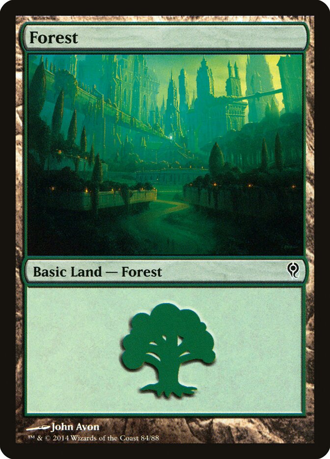 Forest (84)