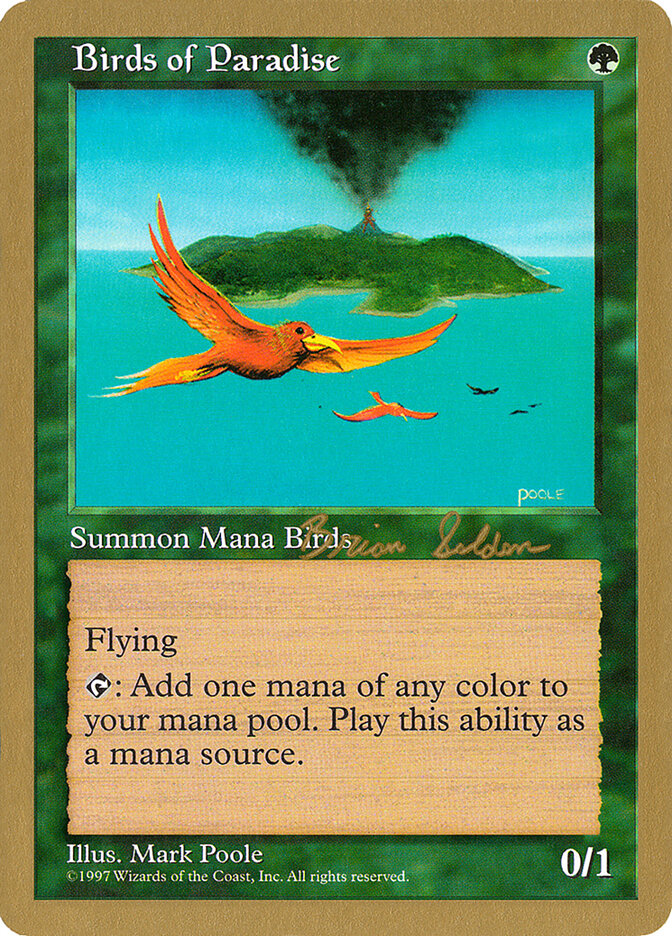Birds of Paradise - 1998 Brian Selden (5ED)