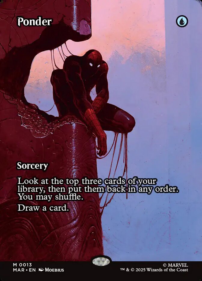 Ponder (Borderless)