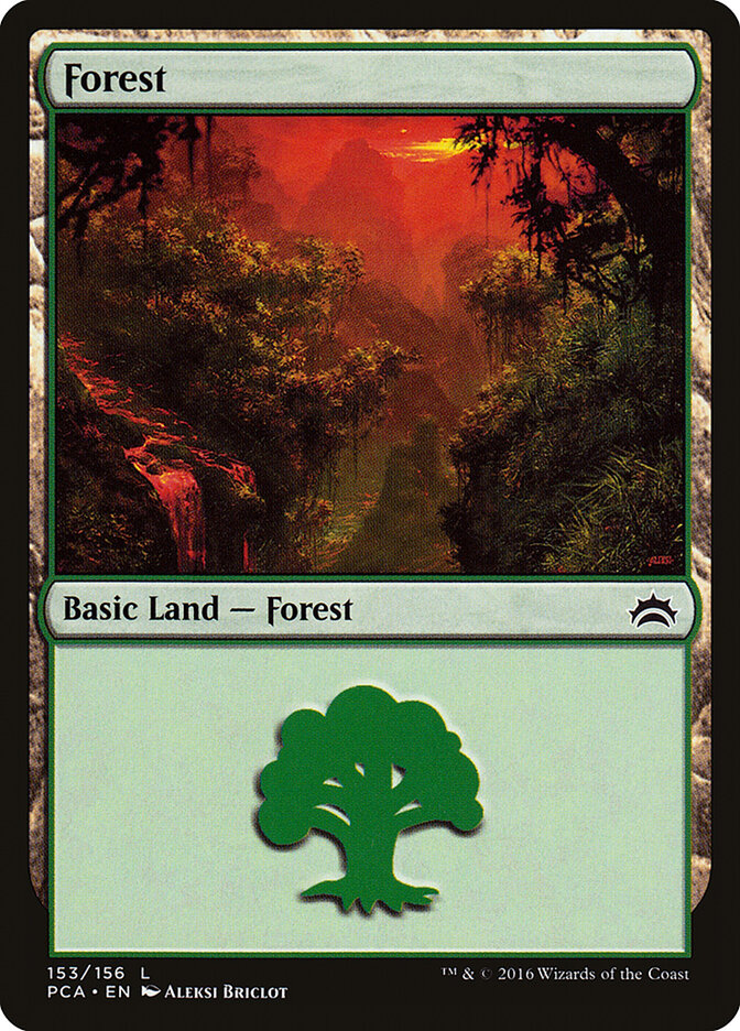 Forest (153)
