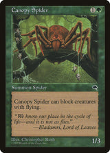 Canopy Spider - Magic: The Gathering