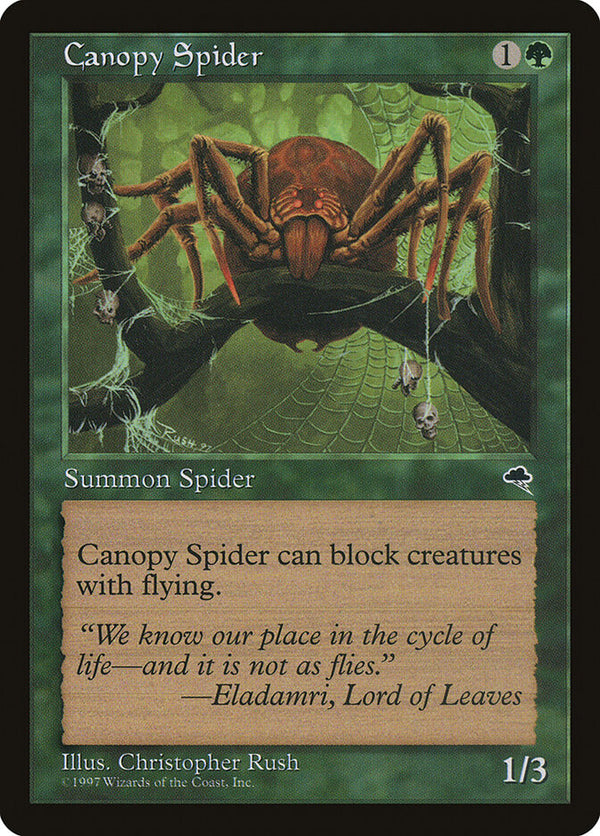 Canopy Spider - Magic: The Gathering