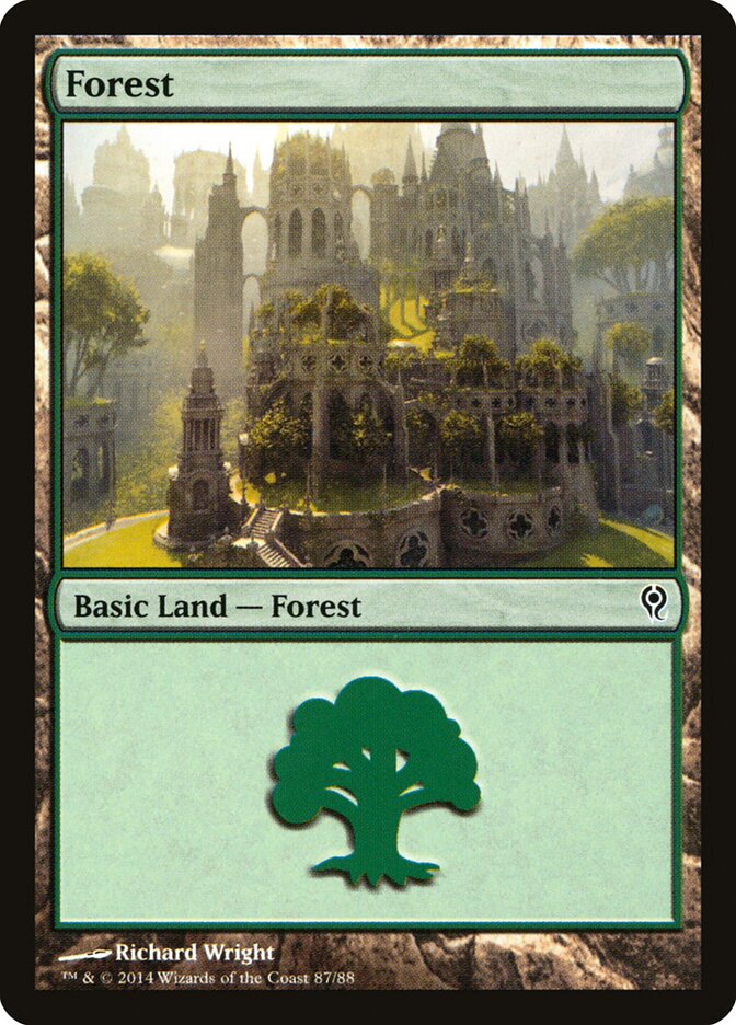 Forest (87)